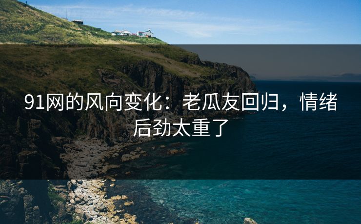 91网的风向变化：老瓜友回归，情绪后劲太重了